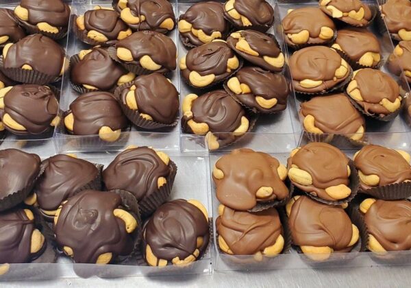 Assorted Turtles